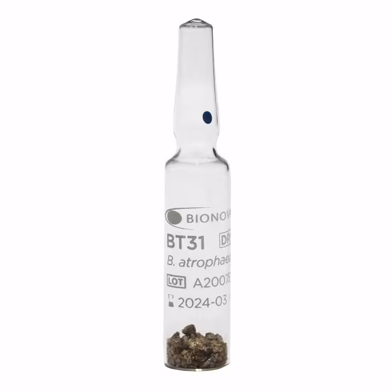 قیمت خرید BT31-01 راین بیوتک