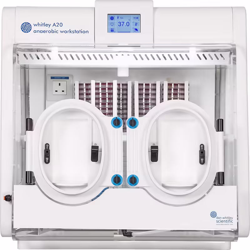 قیمت خرید A20-01 راین بیوتک